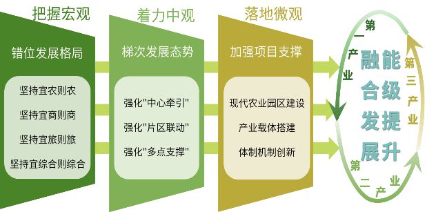 包含“足球+文化”产业融合升级，推动行业创新链完善的词条