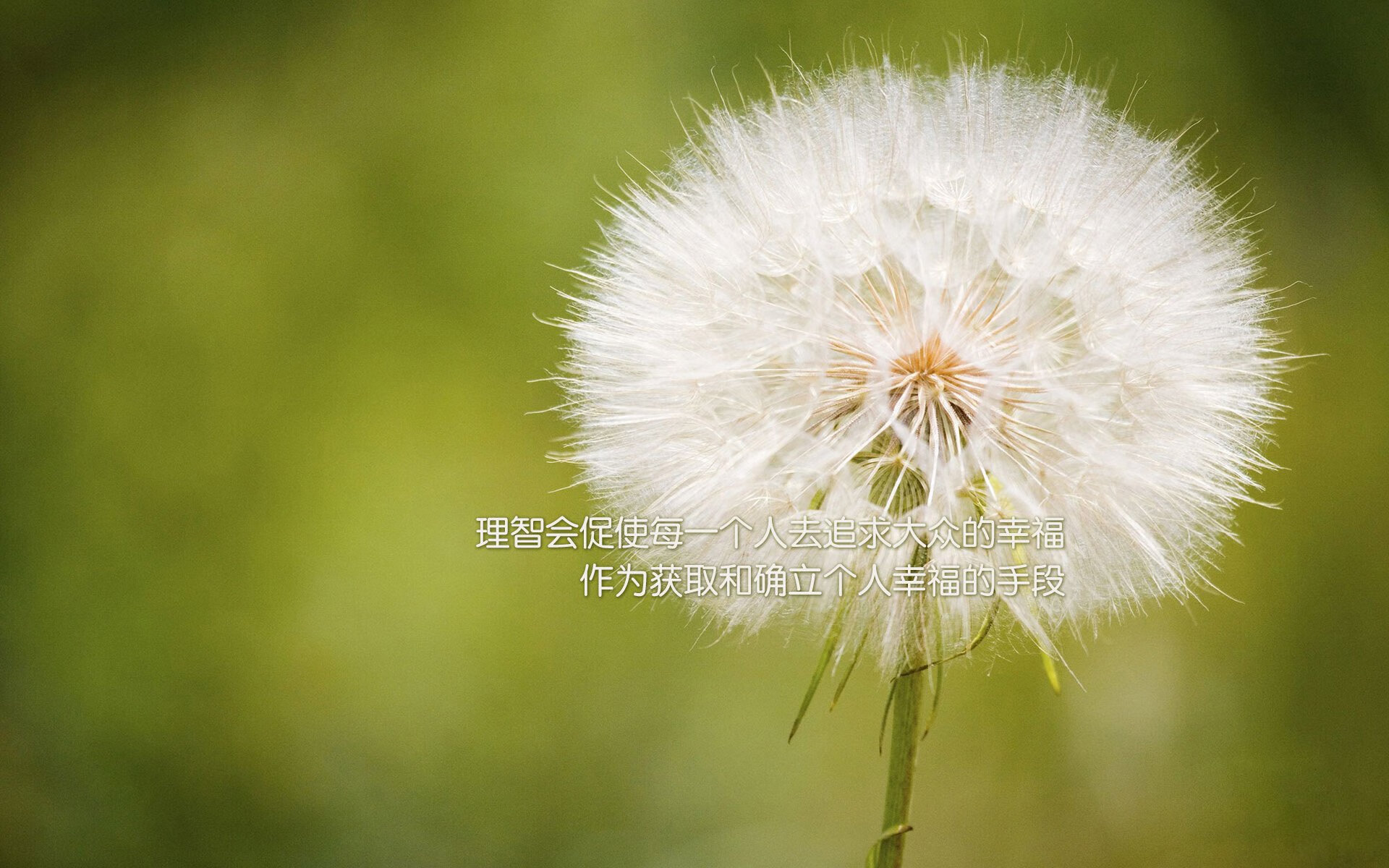 电竞联赛“复古风”大赛上线，吸引老玩家回归，电竞赛事活动官网