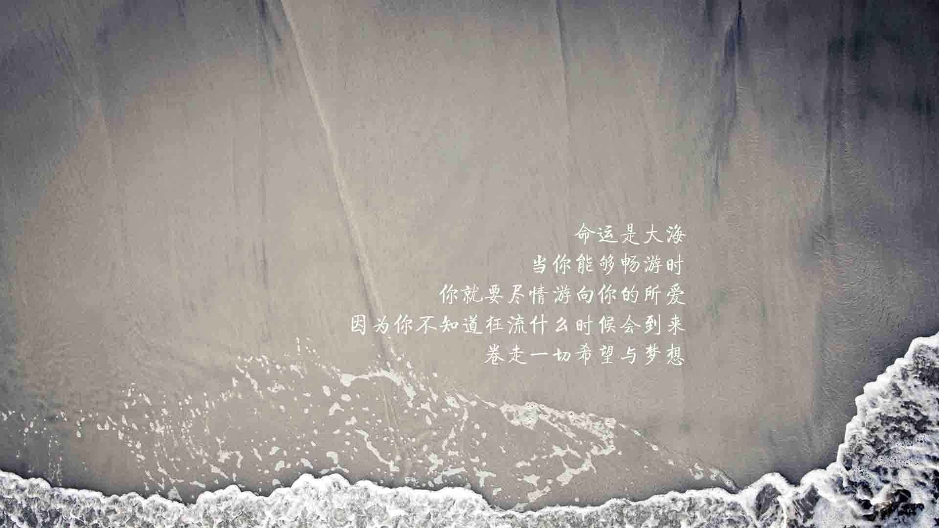 细数欧冠中的“偶像”时刻，球迷的终身回忆，欧冠顶级球员