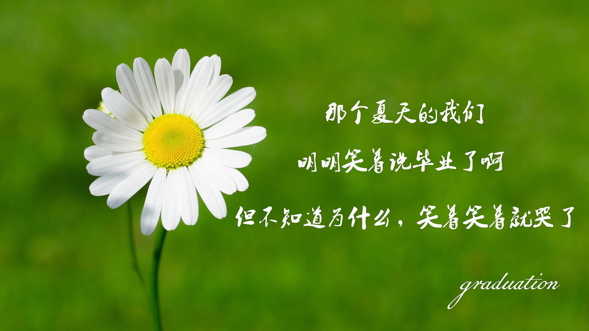 黄蜂重建核心锁定三年级控卫，宣布其为“未来之星”，黄蜂来袭