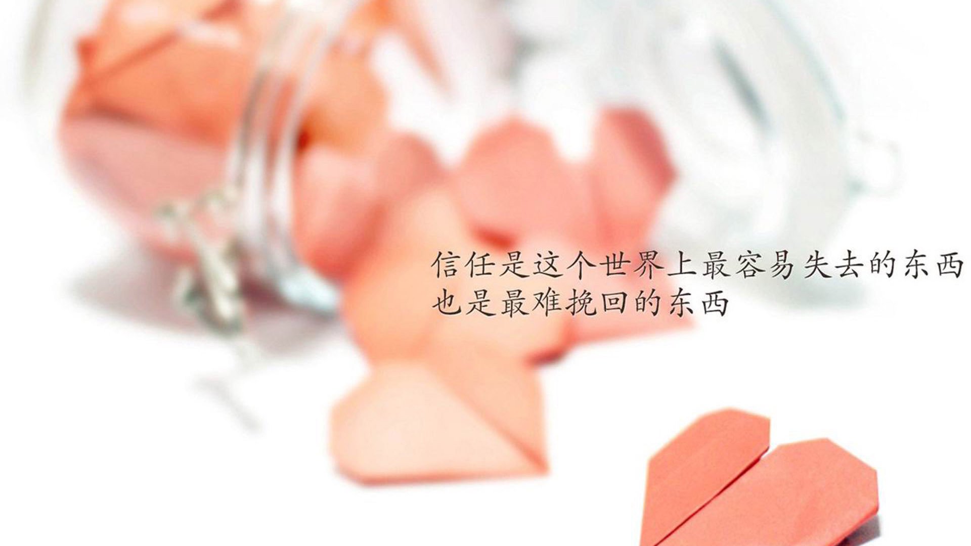 横滨水手备战亚冠联赛，横滨水手亚冠战绩