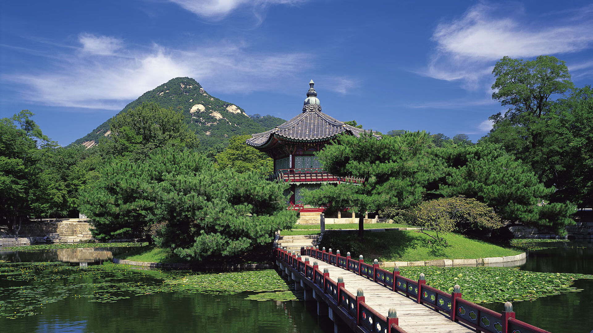 德甲攻守兼备：速度与战术完美结合！，德甲打法特点