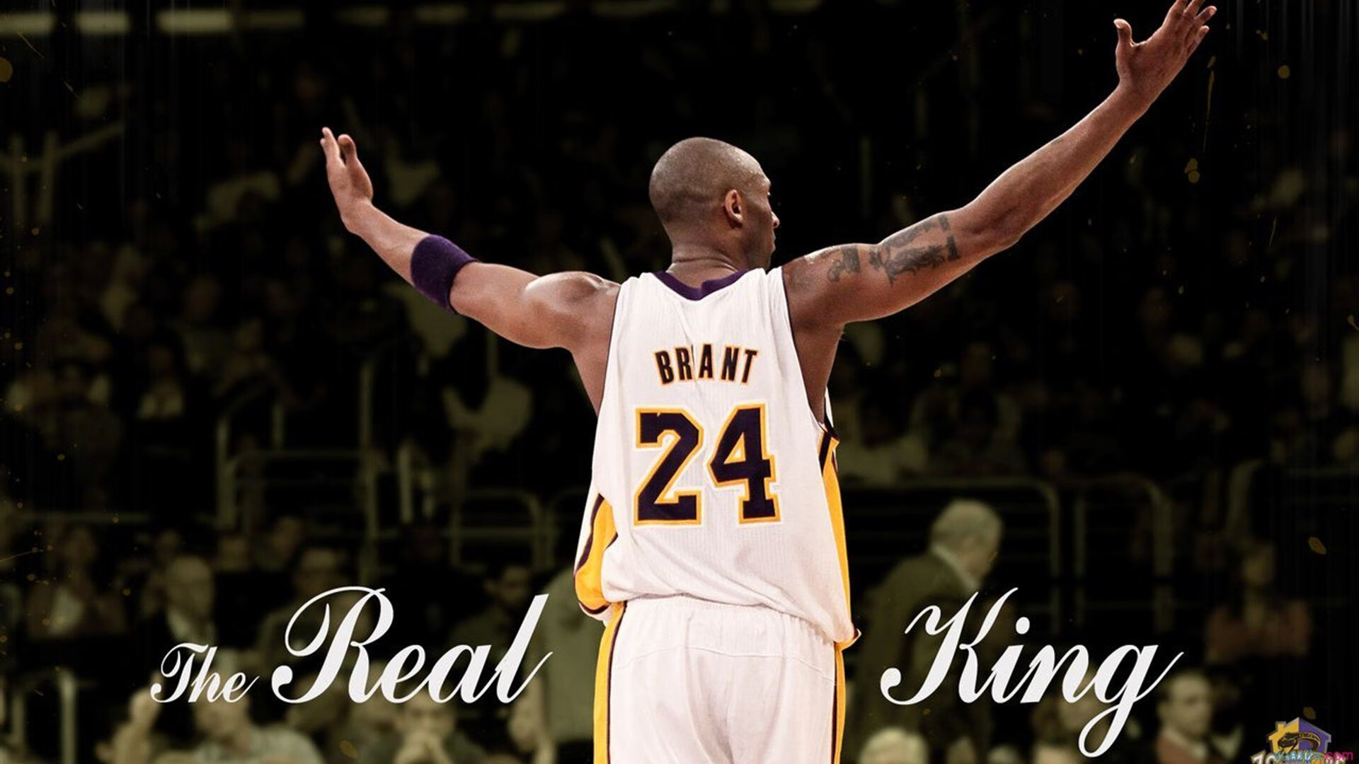 青少年“冠军梦想营”在南昌启动,打造未来篮球领军人物,青少年篮球冠军赛